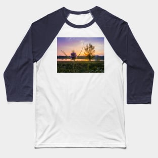 flowering teasel Baseball T-Shirt